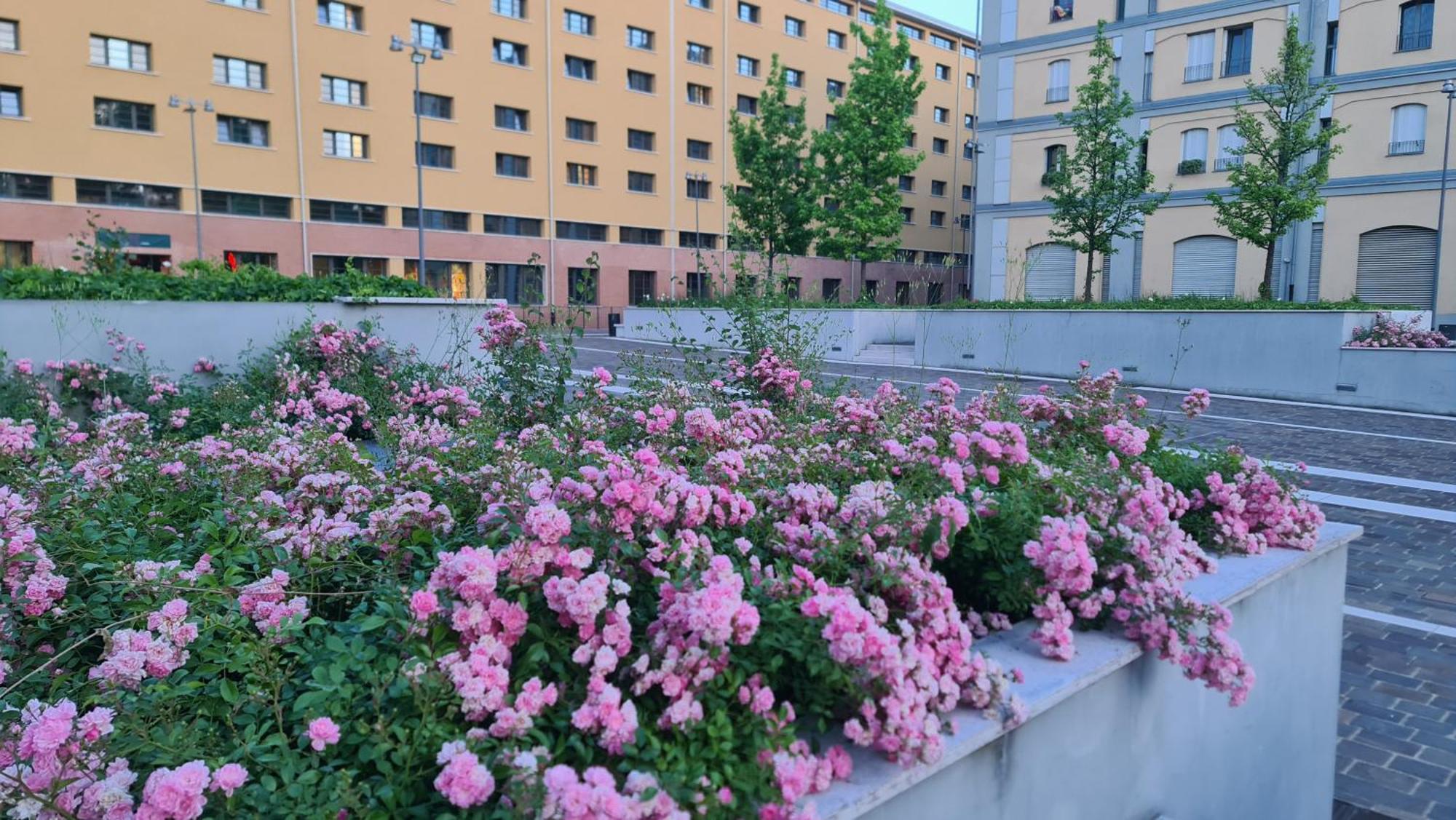 Milan Space Loft - Apartment Close To M5 Subway - Free Parking - Sky & Netflix Tv Milão Exterior foto